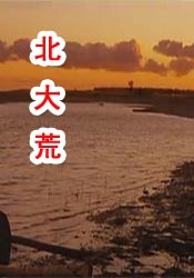 污片网站免费